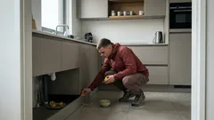 Kakkerlakken in de keuken? Zo helpt citroen om ze op afstand te houden (zonder agressieve middelen)